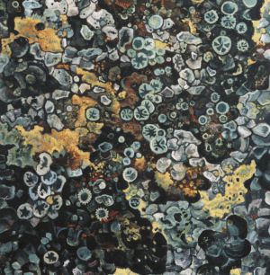 Горная тундра. 1961