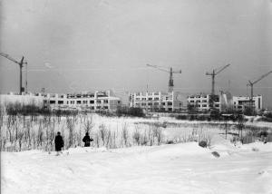 Парковый фасад во время строительства