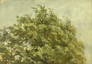 Кораллово. 1954